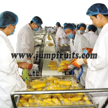 Makineritë e përpunimit të perimeve të frutave të ushqimit të konservuar me cilësi